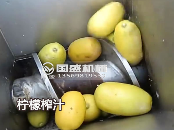 國(guó)盛新款大型檸檬榨汁機(jī) 國(guó)盛新款大型檸檬榨汁機(jī)